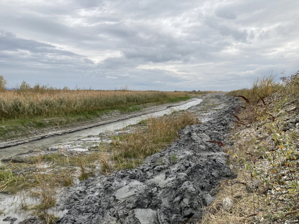Auch bei Niederwasser sollen die Fische passieren k&ouml;nnen.
