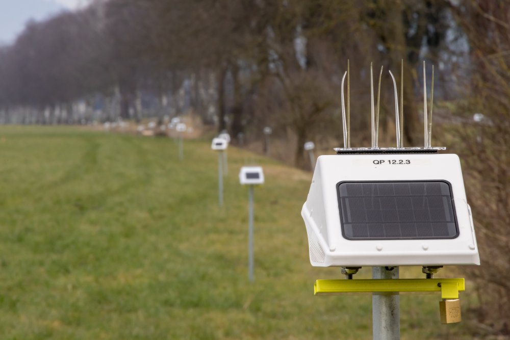 img-https://rheinregulierung.org/media/pages/service/news-overview/eine-armee-am-rheindamm/cc10f98330-1759734682/2025-01-30rh7k4a4457.jpg