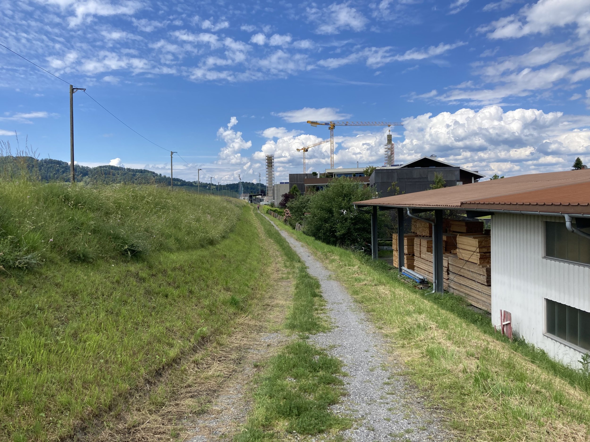 Rheinregulierung - Newsbeitrag