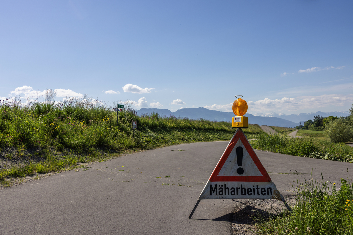 Rheinregulierung - Newsbeitrag