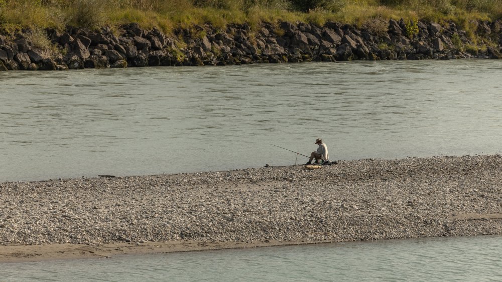 img-https://rheinregulierung.org/media/pages/service/news-overview/hobby-wandern/246dd374fd-1759734686/2021-09-07rh4d1a6709.jpg