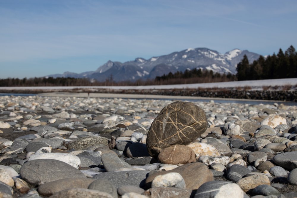img-https://rheinregulierung.org/media/pages/service/news-overview/hobby-wandern/9a059dbf6a-1759734686/2021-02-14rh4d1a1612.jpg