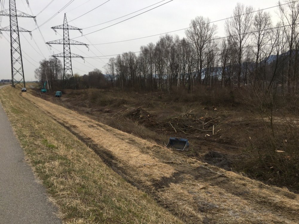 Die Rodungsarbeiten unter der Hochspannungsleitung sind in vollem Gang.
