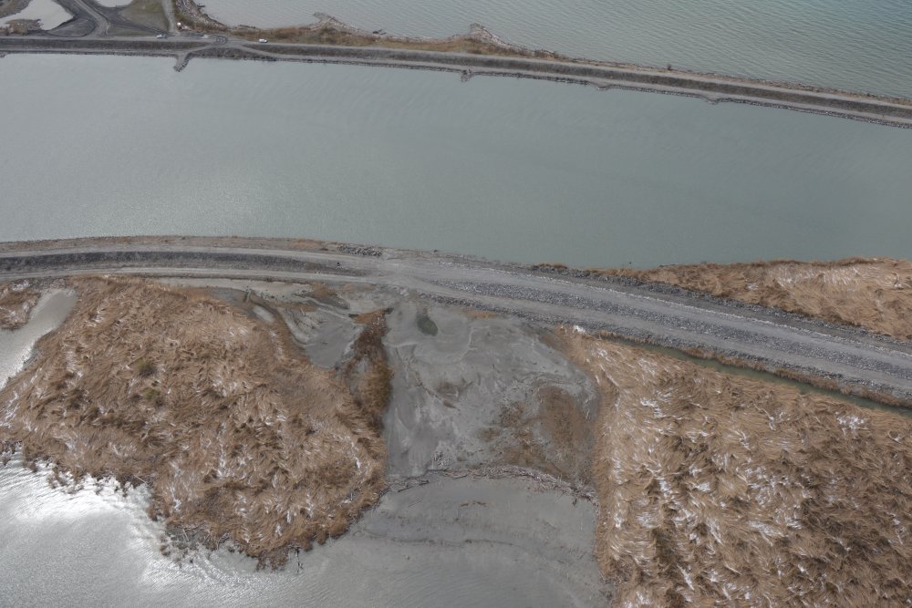 img-https://rheinregulierung.org/media/pages/service/news-overview/materialbewirtschaftung-fuer-eine-naturnahe-flusslandschaft/d6044e8db5-1759734582/vorstreckung_ufer.jpg