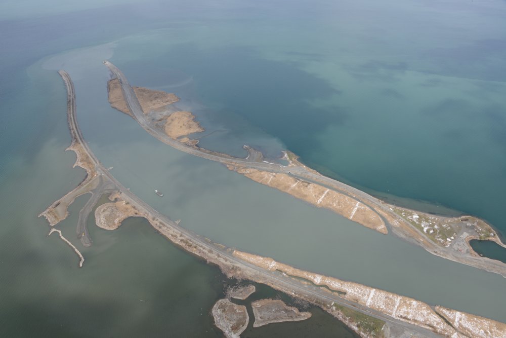 Die Materialbewirtschaftung sorgt f&uuml;r Vielfalt am Ufer.