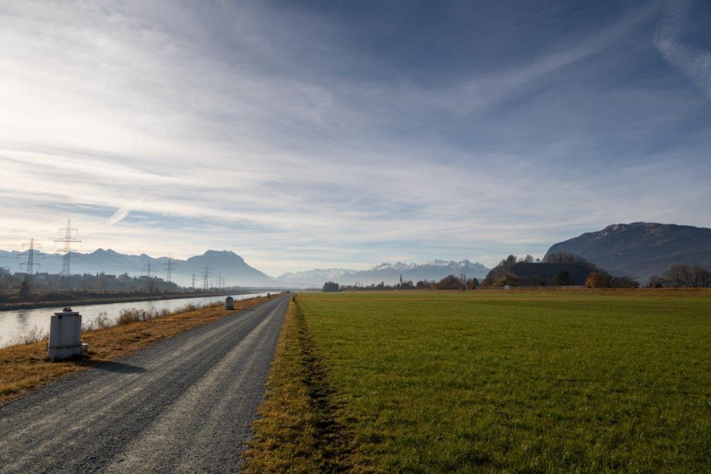 Die S&auml;ulen am Rhein.