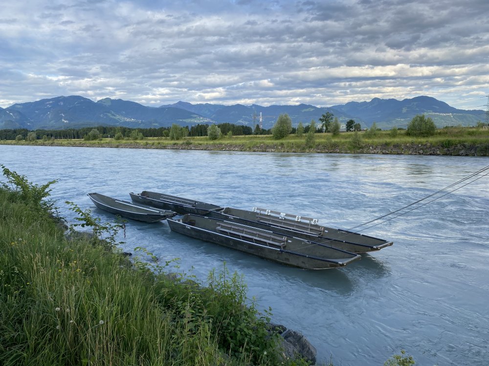 img-https://rheinregulierung.org/media/pages/service/news-overview/pontontiere-zentimetergenau-im-rhein-navigieren/65ba45ef8d-1759734633/img_1434.jpg