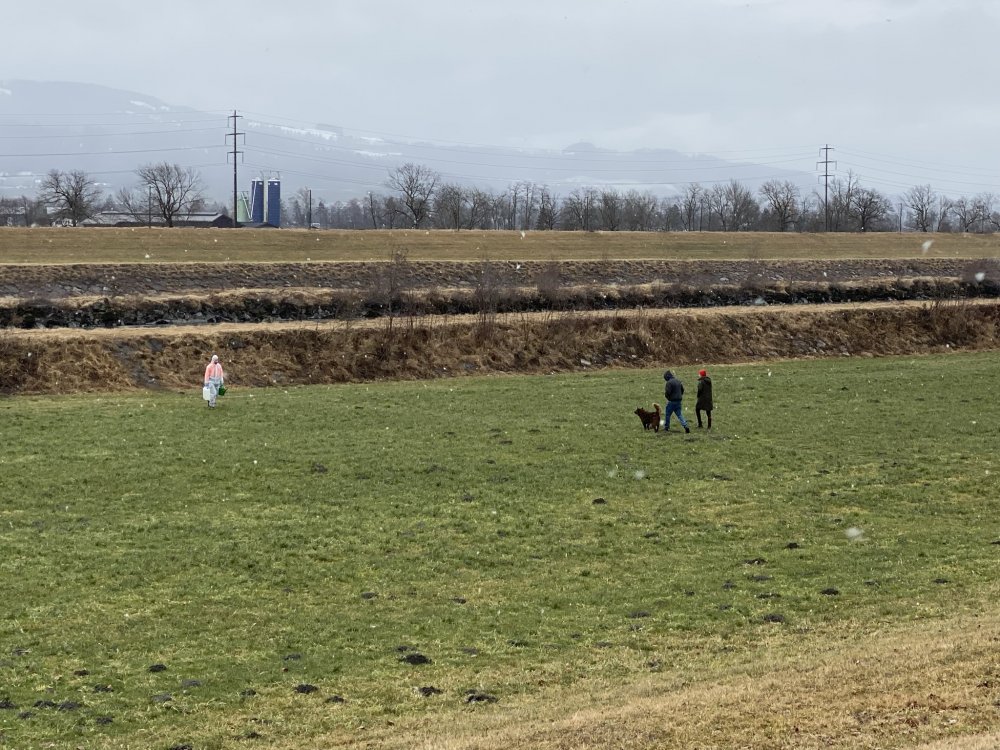 img-https://rheinregulierung.org/media/pages/service/news-overview/pumpversuche-in-diepoldsau/00a4442317-1759734656/2img_2377.jpeg