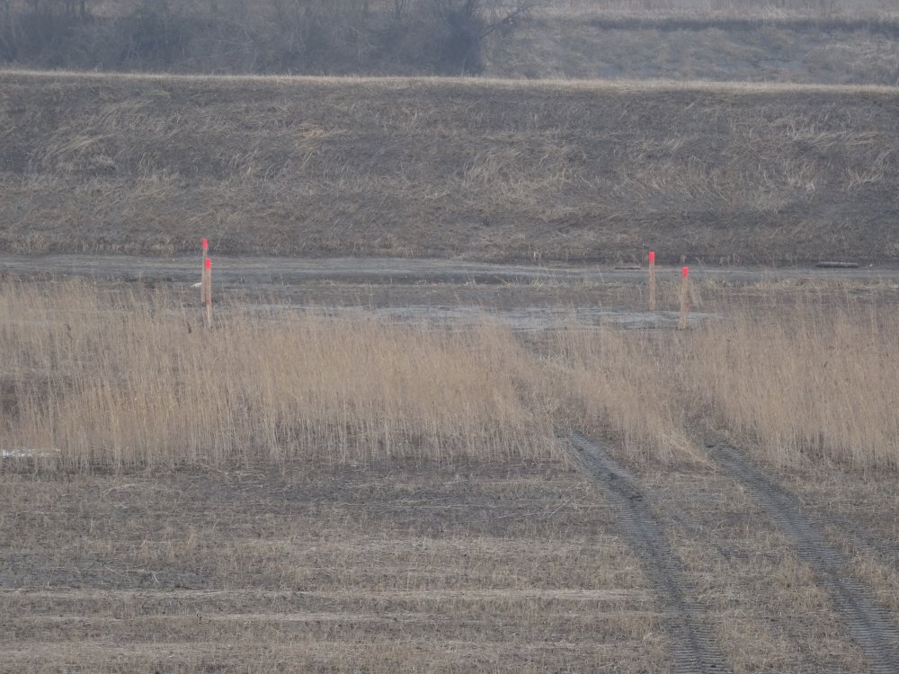Innerhalb der Markierung findet der Versuch statt.